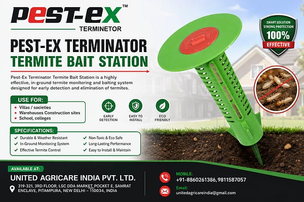 Termite & Bedbug Control
