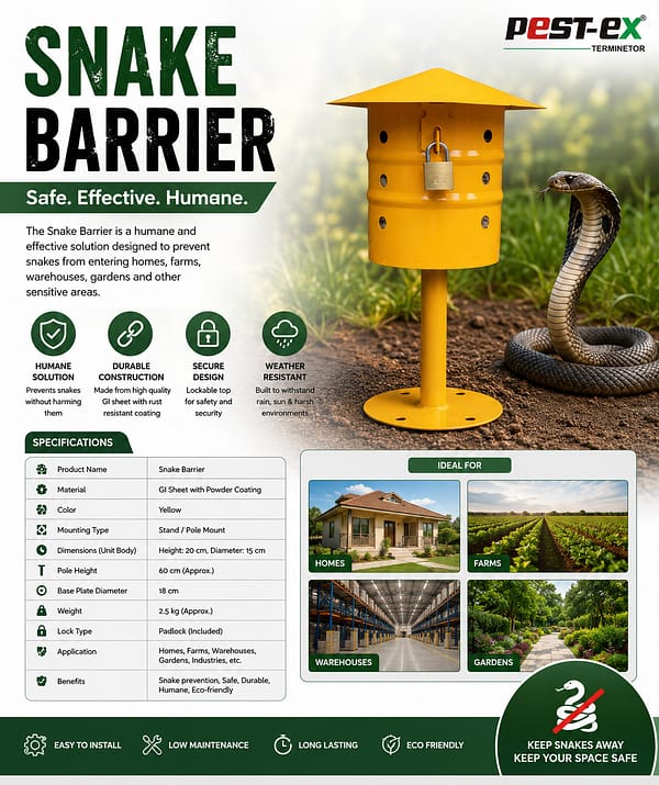 Snake Management